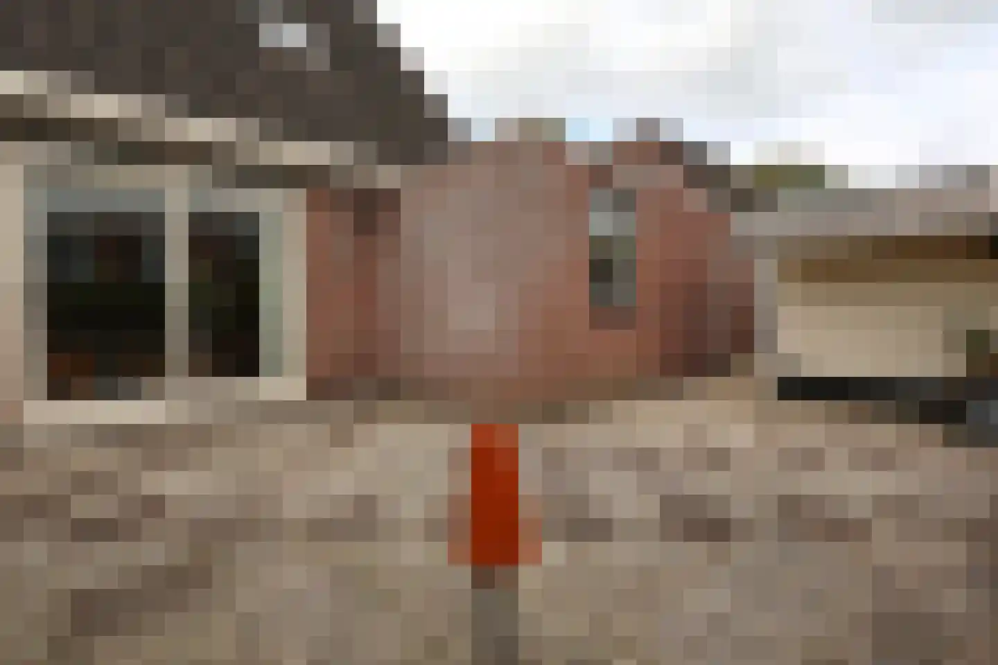 Oude Dijk 9 Sneek thumbnail 5
