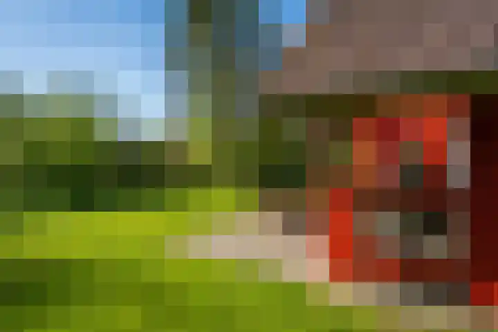Oude Dijkje 22 De Koog thumbnail 11