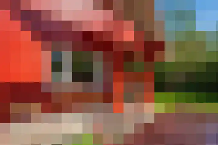 Oude Dijkje 22 De Koog thumbnail 12