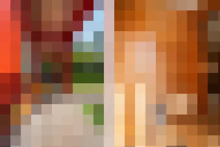 Oude Dijkje 22 De Koog thumbnail 15