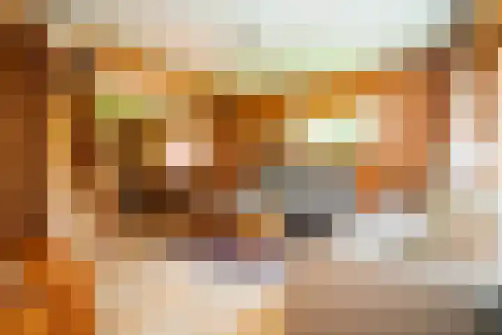 Oude Dijkje 22 De Koog thumbnail 16