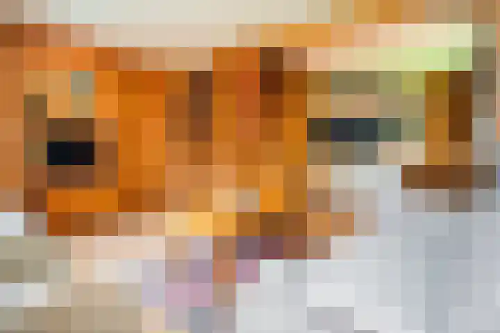 Oude Dijkje 22 De Koog thumbnail 17