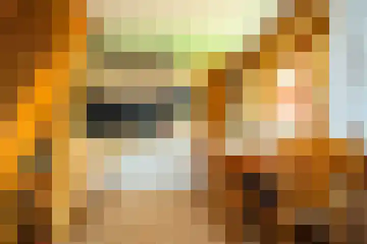 Oude Dijkje 22 De Koog thumbnail 18
