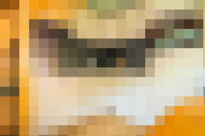 Oude Dijkje 22 De Koog thumbnail 19