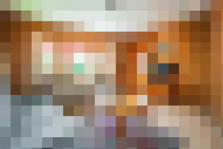 Oude Dijkje 22 De Koog thumbnail 20