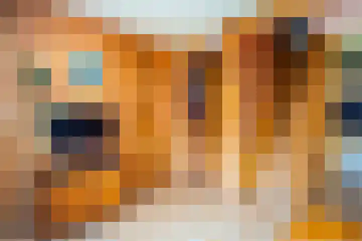 Oude Dijkje 22 De Koog thumbnail 21
