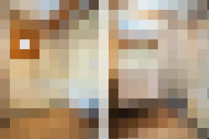Oude Dijkje 22 De Koog thumbnail 22