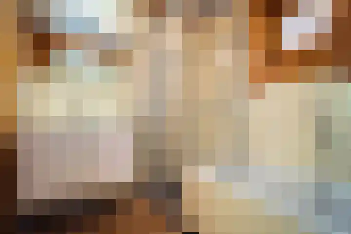 Oude Dijkje 22 De Koog thumbnail 23