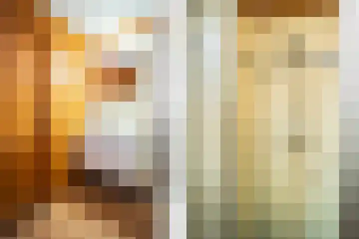 Oude Dijkje 22 De Koog thumbnail 24