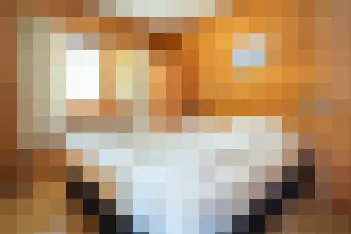 Oude Dijkje 22 De Koog thumbnail 25