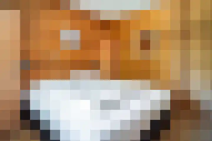 Oude Dijkje 22 De Koog thumbnail 26