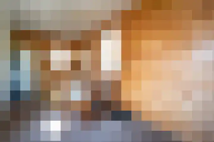 Oude Dijkje 22 De Koog thumbnail 29