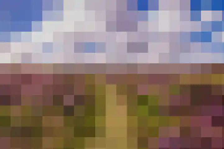 Oude Dijkje 22 De Koog thumbnail 32