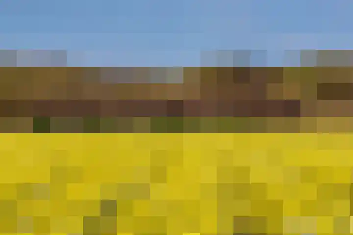 Oude Dijkje 22 De Koog thumbnail 35