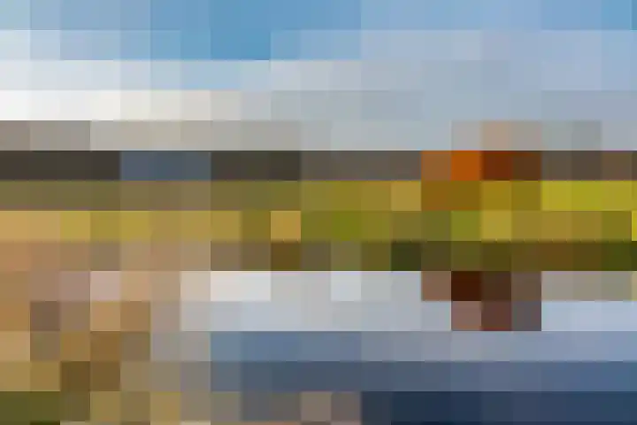 Oude Dijkje 22 De Koog thumbnail 36