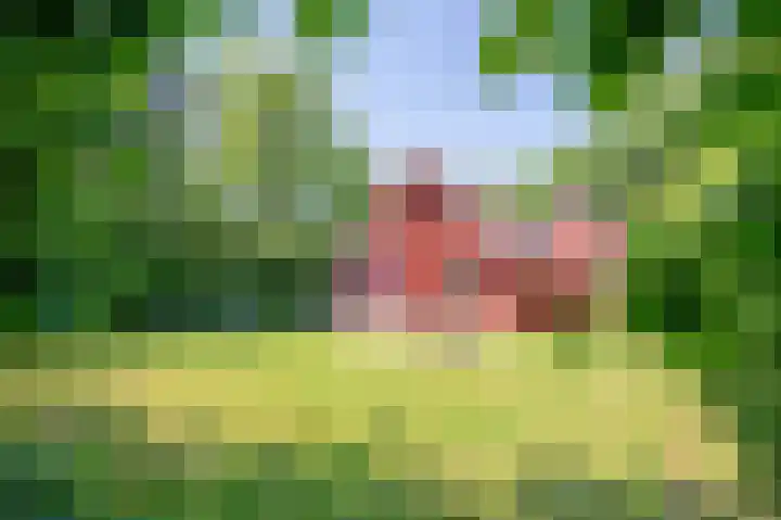 Oude Dijkje 22 De Koog thumbnail 39