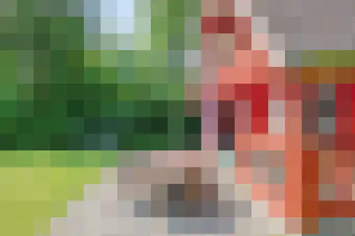 Oude Dijkje 22 De Koog thumbnail 4