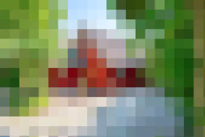Oude Dijkje 22 De Koog thumbnail 6