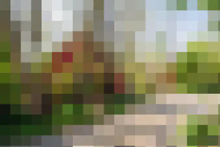 Oude Dijkje 22 De Koog thumbnail 7