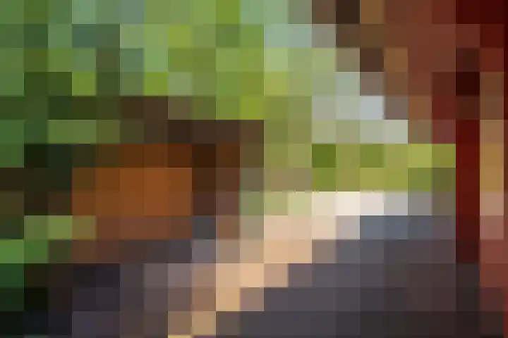 Oude Dijkje 22 De Koog thumbnail 9