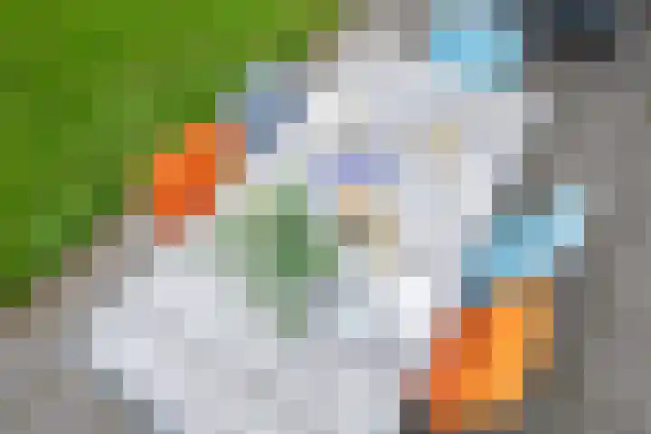 Oude Dijkje 24 De Koog thumbnail 11