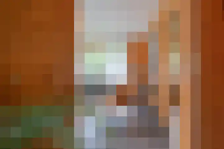 Oude Dijkje 24 De Koog thumbnail 12