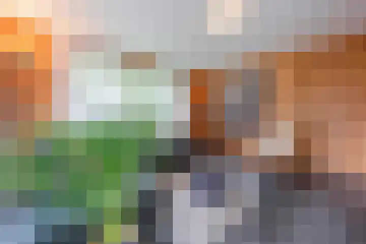 Oude Dijkje 24 De Koog thumbnail 14