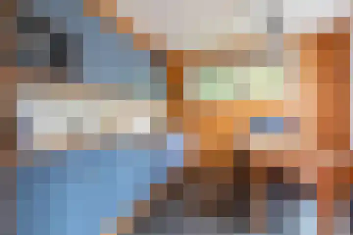 Oude Dijkje 24 De Koog thumbnail 16