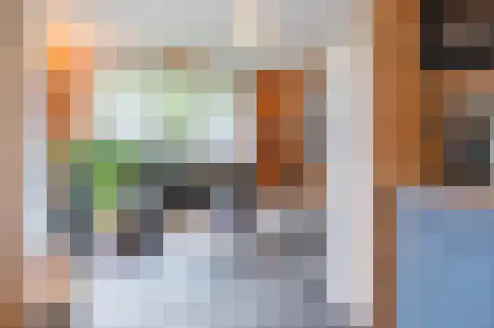 Oude Dijkje 24 De Koog thumbnail 18