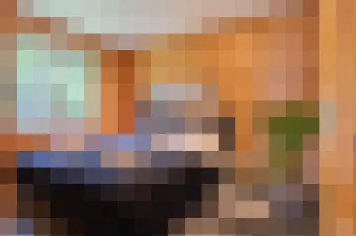 Oude Dijkje 24 De Koog thumbnail 19