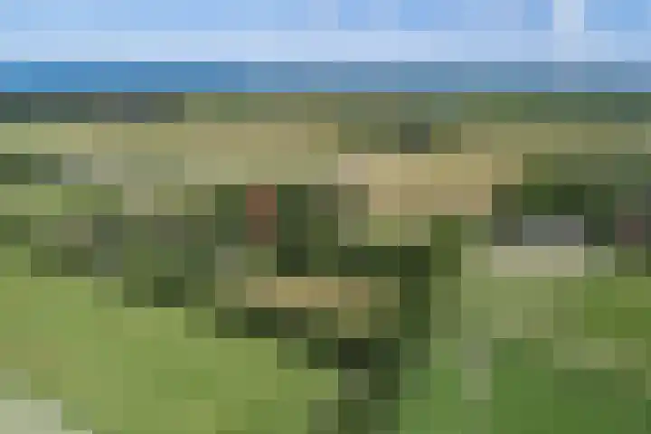 Oude Dijkje 24 De Koog foto 2