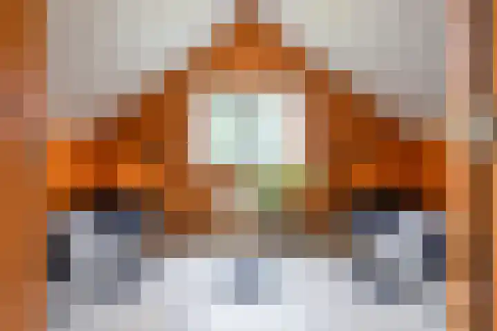 Oude Dijkje 24 De Koog thumbnail 26