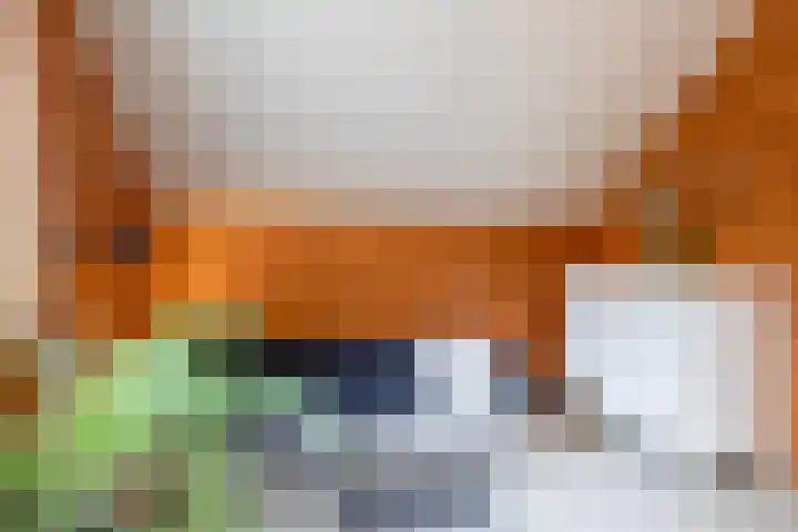 Oude Dijkje 24 De Koog thumbnail 27