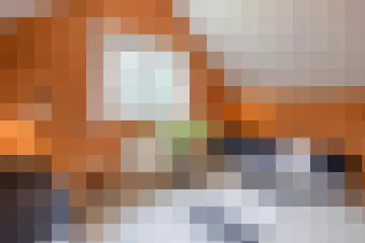 Oude Dijkje 24 De Koog thumbnail 28