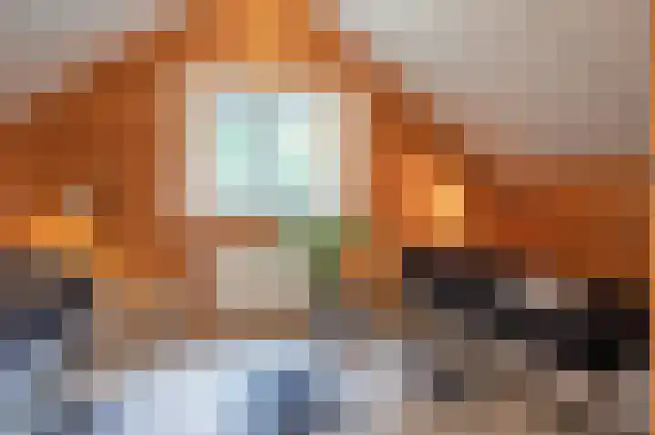 Oude Dijkje 24 De Koog thumbnail 29