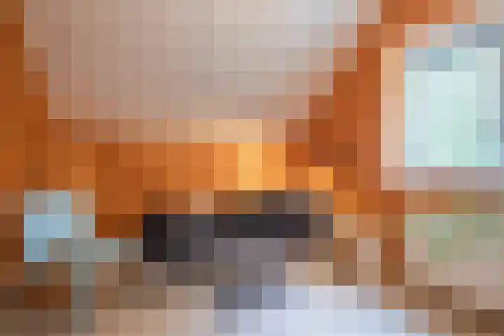 Oude Dijkje 24 De Koog thumbnail 30