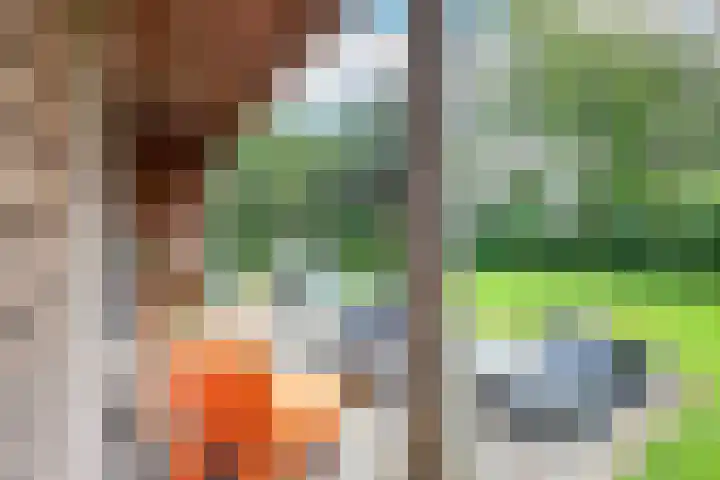 Oude Dijkje 24 De Koog thumbnail 5
