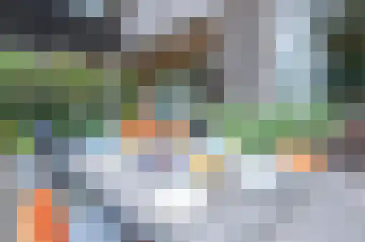 Oude Dijkje 24 De Koog thumbnail 6