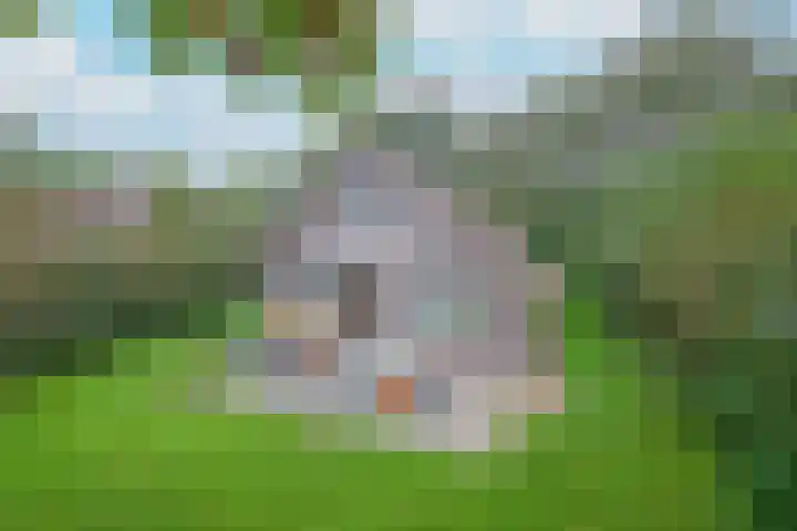 Oude Dijkje 24 De Koog thumbnail 8