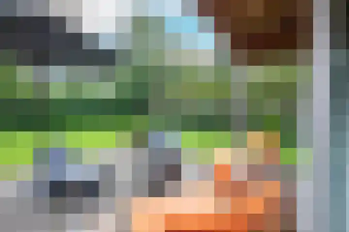 Oude Dijkje 24 De Koog thumbnail 9