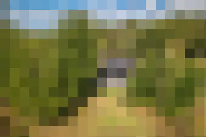 Oude Dijkje 30 dans De Koog