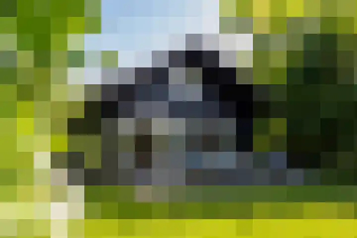 Oude Dijkje 30 De Koog thumbnail 10