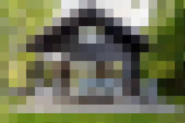 Oude Dijkje 30 De Koog thumbnail 11