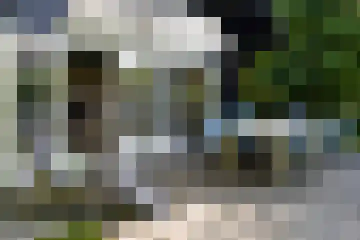 Oude Dijkje 30 De Koog thumbnail 12