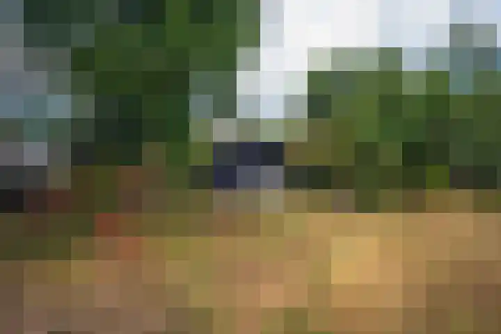 Oude Dijkje 30 De Koog thumbnail 14