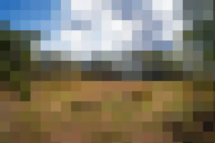 Oude Dijkje 30 De Koog thumbnail 15