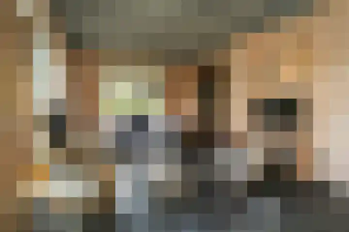 Oude Dijkje 30 De Koog thumbnail 22