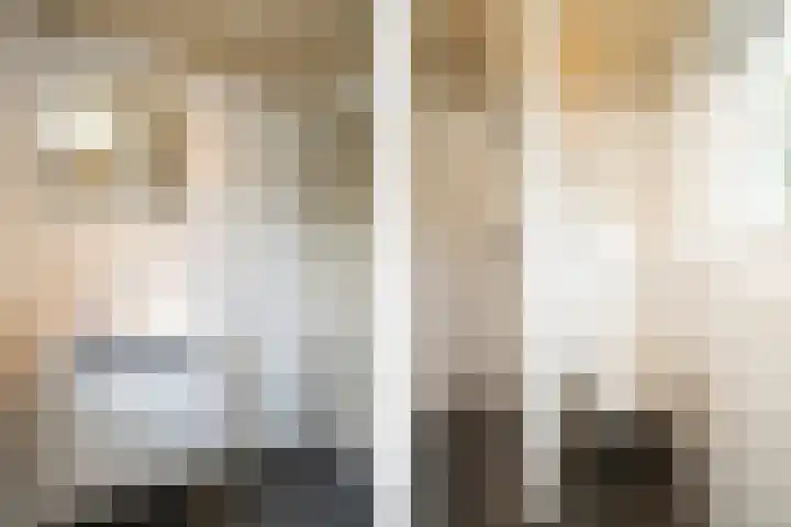 Oude Dijkje 30 De Koog thumbnail 37