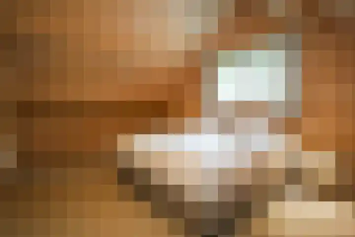 Oude Dijkje 30 De Koog thumbnail 39