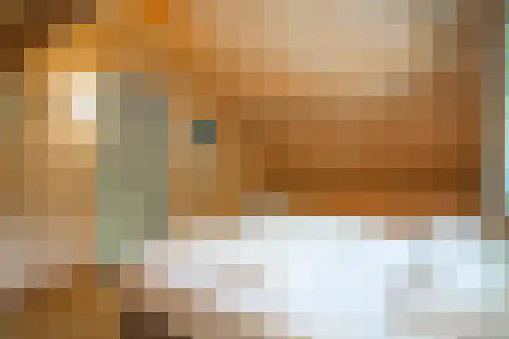 Oude Dijkje 30 De Koog thumbnail 40